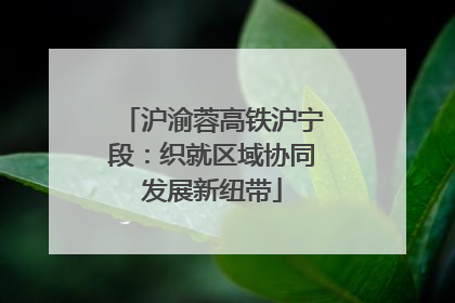 沪渝蓉高铁沪宁段：织就区域协同发展新纽带