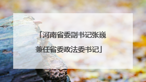 河南省委副书记张巍兼任省委政法委书记