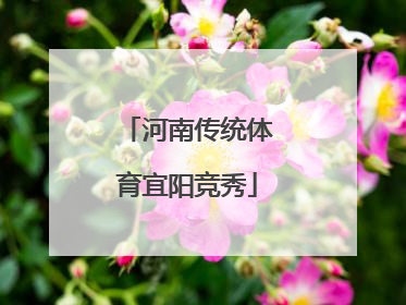 河南传统体育宜阳竞秀