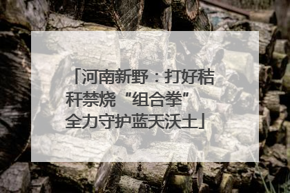 河南新野：打好秸秆禁烧“组合拳” 全力守护蓝天沃土