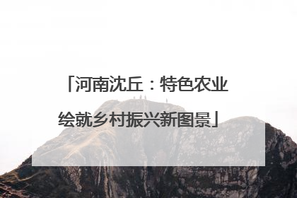 河南沈丘：特色农业绘就乡村振兴新图景