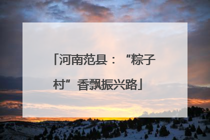河南范县：“粽子村”香飘振兴路