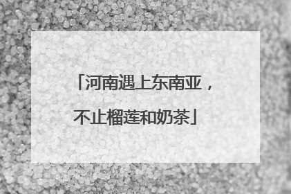 河南遇上东南亚，不止榴莲和奶茶