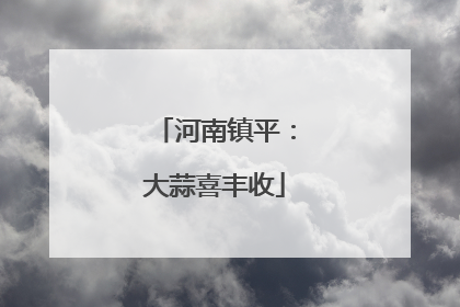 河南镇平：大蒜喜丰收