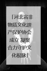 河北省非物质文化遗产保护协会成立 凝聚合力守护文化根脉