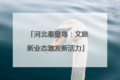 河北秦皇岛：文旅新业态激发新活力