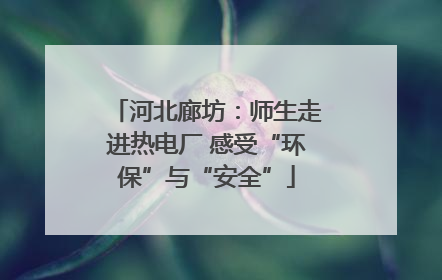 河北廊坊：师生走进热电厂 感受“环保”与“安全”