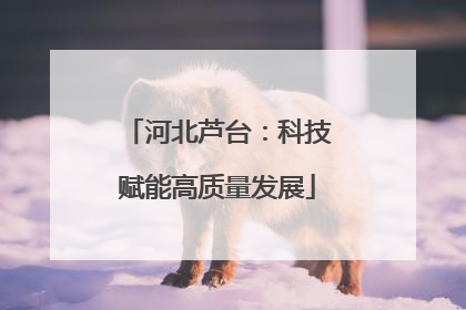 河北芦台：科技赋能高质量发展