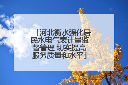 河北衡水强化居民水电气表计量监督管理 切实提高服务质量和水平
