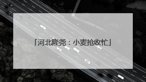 河北隆尧：小麦抢收忙
