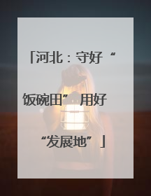 河北：守好“饭碗田” 用好“发展地”