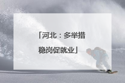 河北：多举措稳岗促就业