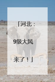 河北：9级大风来了！