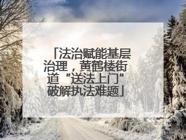 法治赋能基层治理，黄鹤楼街道“送法上门”破解执法难题