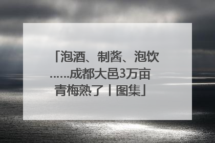 泡酒、制酱、泡饮……成都大邑3万亩青梅熟了丨图集