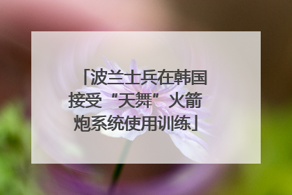 波兰士兵在韩国接受“天舞”火箭炮系统使用训练
