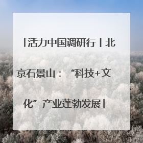活力中国调研行丨北京石景山：“科技+文化”产业蓬勃发展