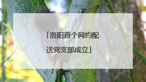 洛阳首个网约配送党支部成立
