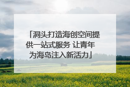 洞头打造海创空间提供一站式服务 让青年为海岛注入新活力