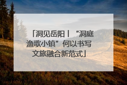 洞见岳阳丨“洞庭渔歌小镇”何以书写文旅融合新范式
