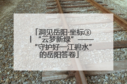 洞见岳阳·坐标③丨“云梦新绿”——“守护好一江碧水”的岳阳答卷