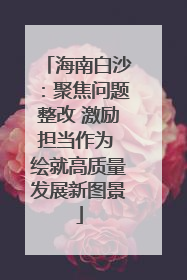 海南白沙：聚焦问题整改 激励担当作为 绘就高质量发展新图景