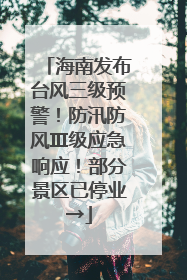 海南发布台风三级预警！防汛防风Ⅲ级应急响应！部分景区已停业→