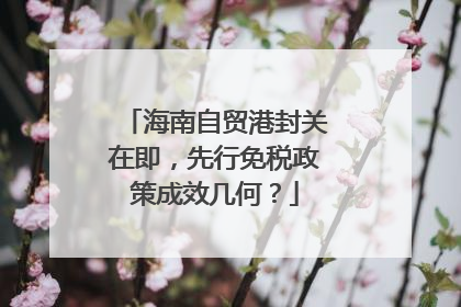 海南自贸港封关在即，先行免税政策成效几何？