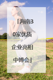 海南30家优质企业亮相中博会