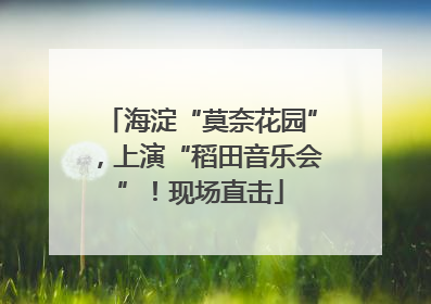 海淀“莫奈花园”，上演“稻田音乐会”！现场直击