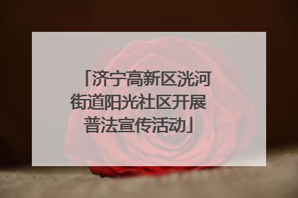 济宁高新区洸河街道阳光社区开展普法宣传活动
