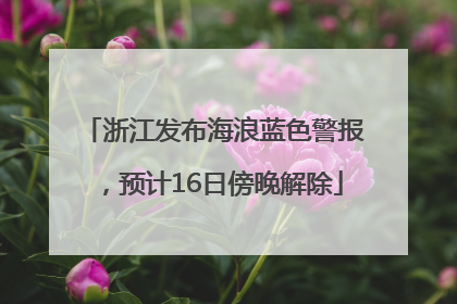 浙江发布海浪蓝色警报，预计16日傍晚解除