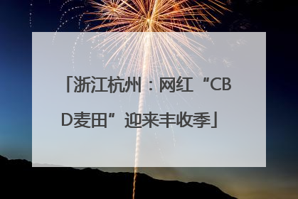 浙江杭州：网红“CBD麦田”迎来丰收季