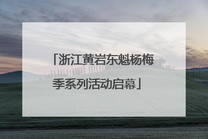 浙江黄岩东魁杨梅季系列活动启幕
