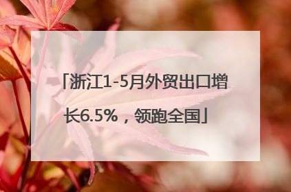 浙江1-5月外贸出口增长6.5%，领跑全国