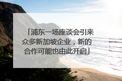 浦东一场座谈会引来众多新加坡企业，新的合作可能也由此开启