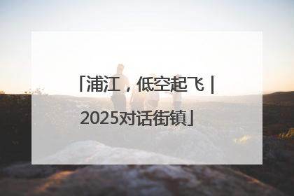 浦江，低空起飞｜2025对话街镇