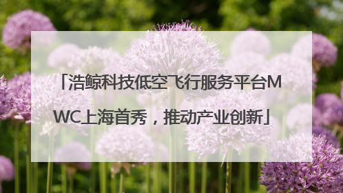 浩鲸科技低空飞行服务平台MWC上海首秀，推动产业创新