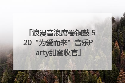 浪漫音浪席卷铜鼓 520“为爱而来”音乐Party甜蜜收官