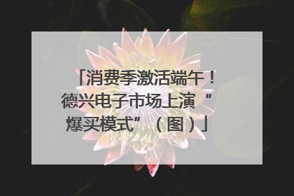 消费季激活端午！德兴电子市场上演“爆买模式”（图）