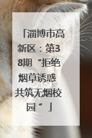 淄博市高新区：第38期“拒绝烟草诱惑 共筑无烟校园 ”