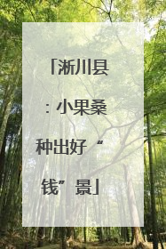 淅川县：小果桑种出好“钱”景