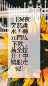 深夜突然跳水！美元直线下跌，黄金拉升！中概股走强