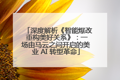 深度解析《智能爆改 重构美好关系》：一场由马云之问开启的美业 AI 转型革命