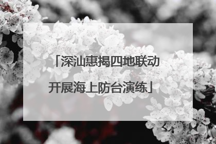 深汕惠揭四地联动开展海上防台演练