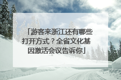 游客来浙江还有哪些打开方式？全省文化基因激活会议告诉你