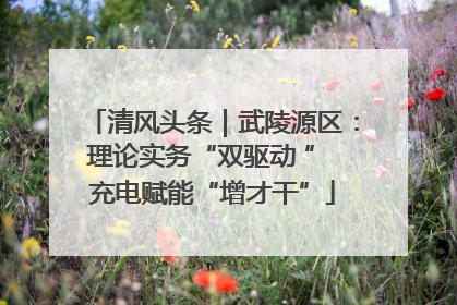 清风头条｜武陵源区：理论实务“双驱动 ” 充电赋能“增才干”