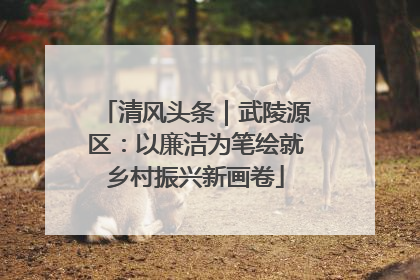 清风头条｜武陵源区：以廉洁为笔绘就乡村振兴新画卷