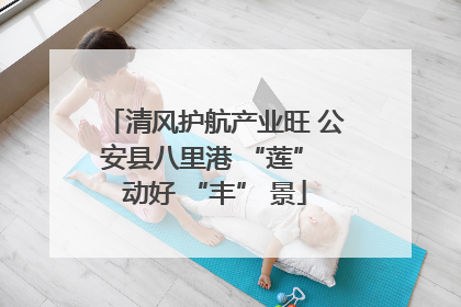 清风护航产业旺 公安县八里港 “莲” 动好 “丰” 景