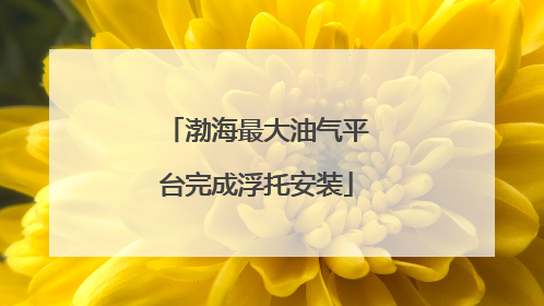 渤海最大油气平台完成浮托安装